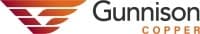 Gunnison Copper Appoints Bjorn Meyer As COO Today