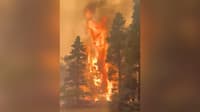 Aspen Acres Blaze Expands Rapidly in Southern Colorado