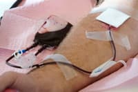 Regional Blood Supplies Fall; Centers Urge Immediate Donations