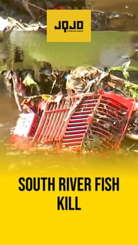 Atlanta investigates chemical-linked fish kill on South River