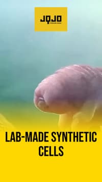 United States scientists build evolving synthetic cell
