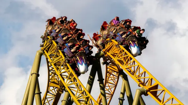 环球影城史诗宇宙死亡事件被裁定为意外事故，无犯罪行为