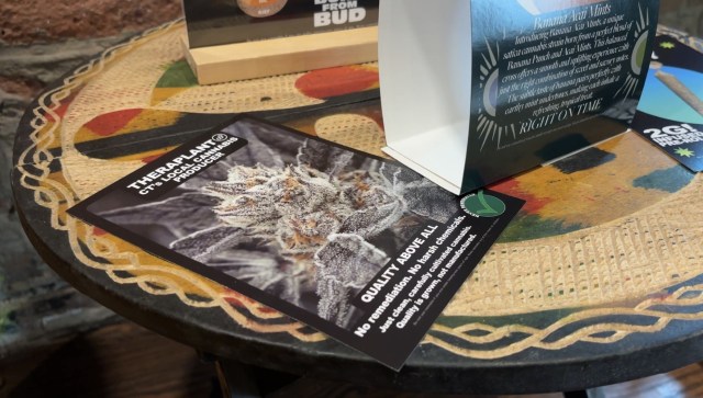 ترامب يوقع أمراً لإعادة تصنيف الماريجوانا إلى جدول المواد الخاضعة للرقابة