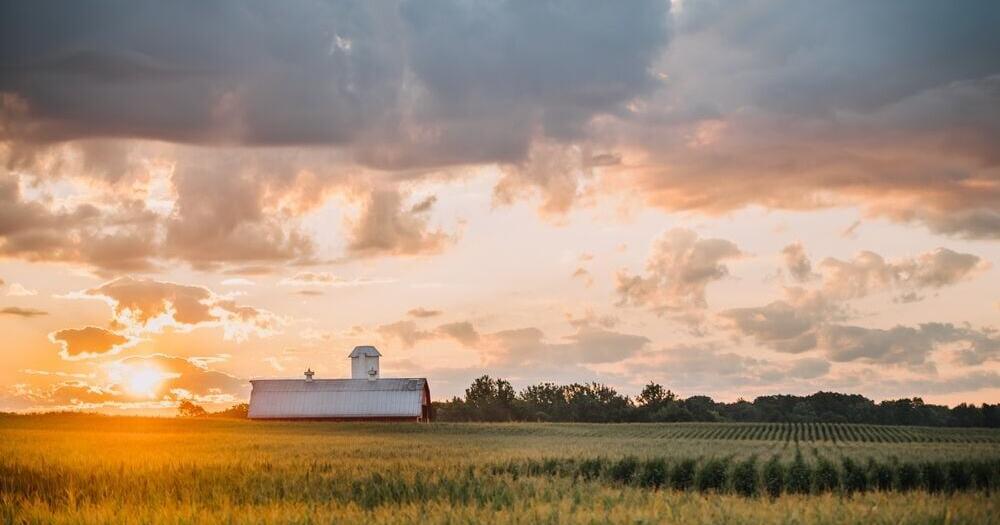 U.S. State Agricultural Exports to China Drop Sharply