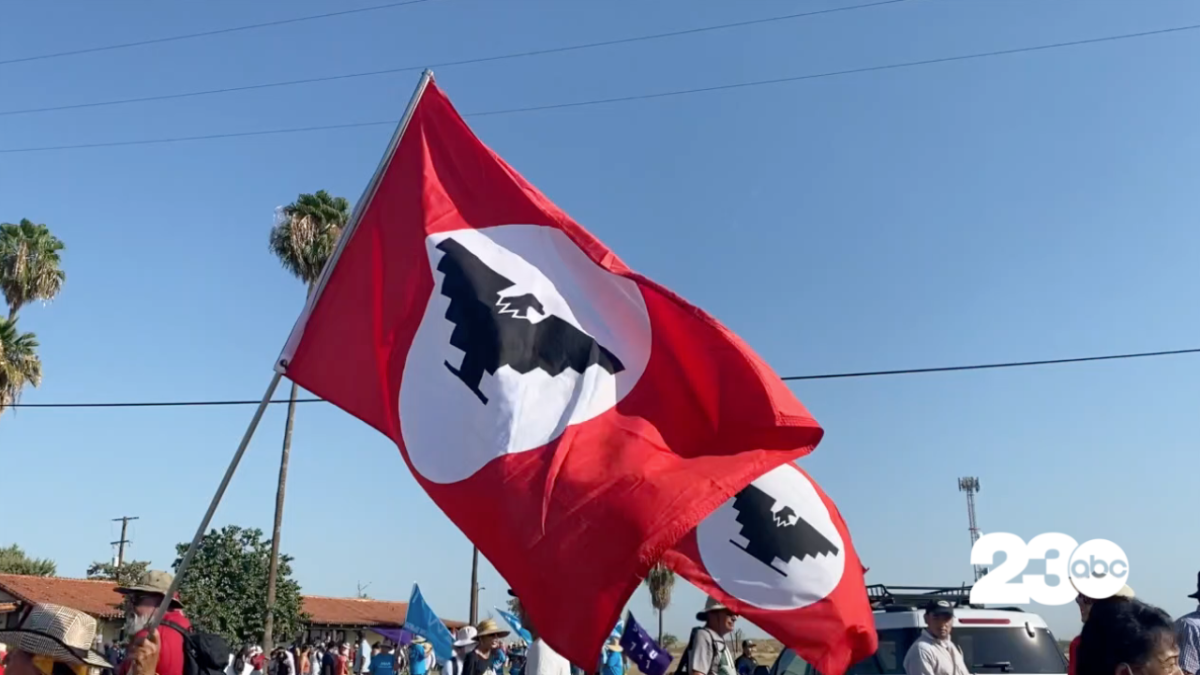 因性虐待指控，塞萨尔·查韦斯日活动被暂停