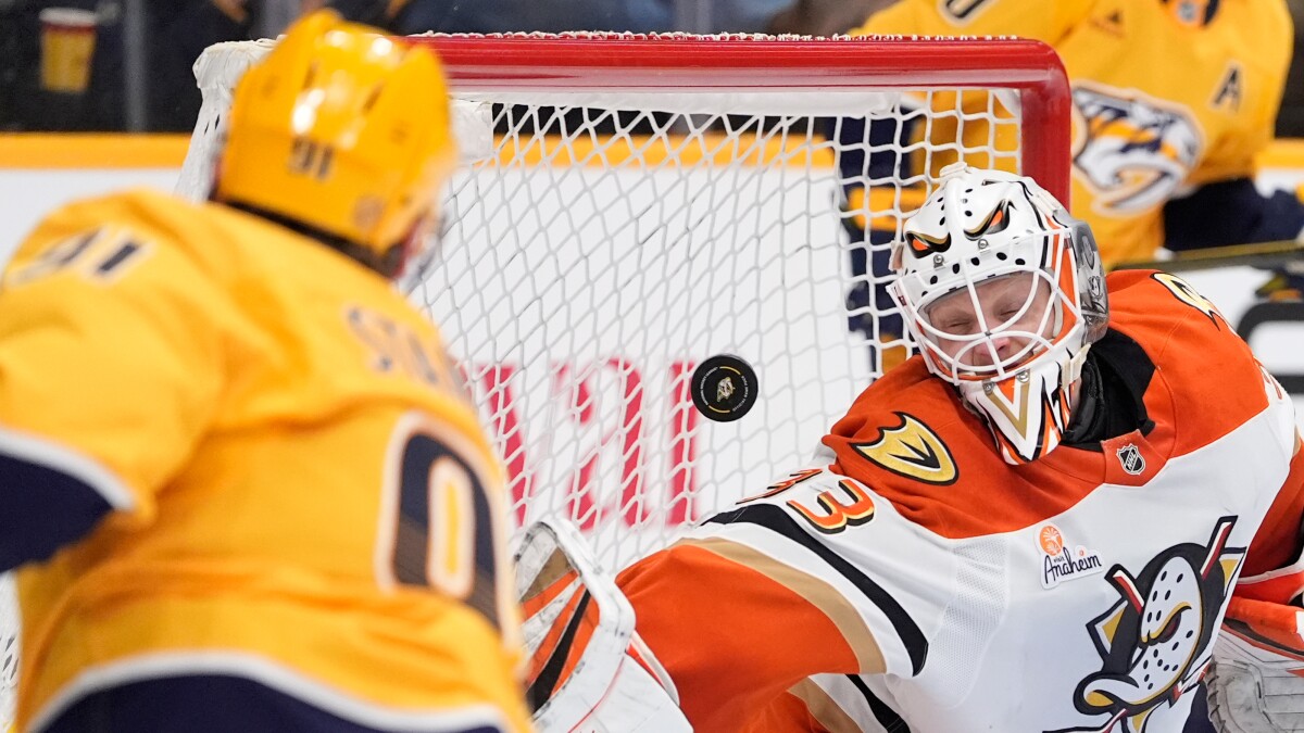 特洛伊·特里在强打中打入制胜球，野鸭队以5-4击败掠夺者队