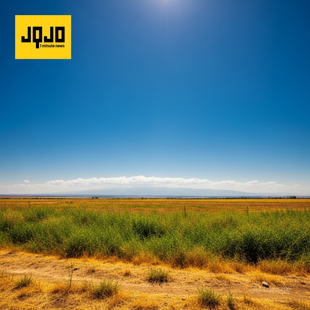 Cold front ushers showers, wind and much cooler temperatures