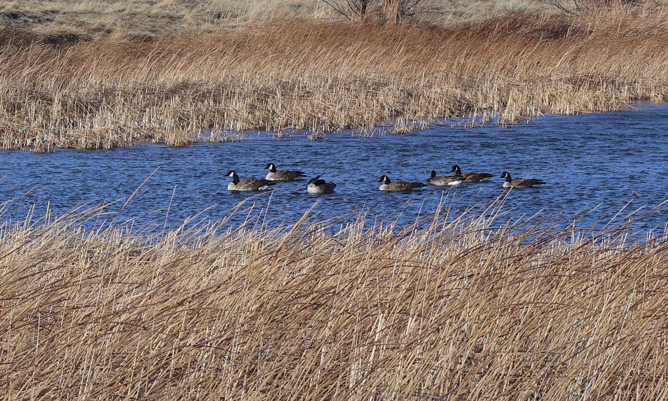 सप्ताहांत में तापमान में वृद्धि: धूप, गर्म हवाएं और बढ़ती गर्मी