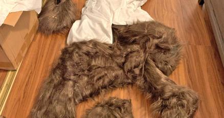 Sentenciadas personas que usaron un oso para estafar seguros de autos de lujo