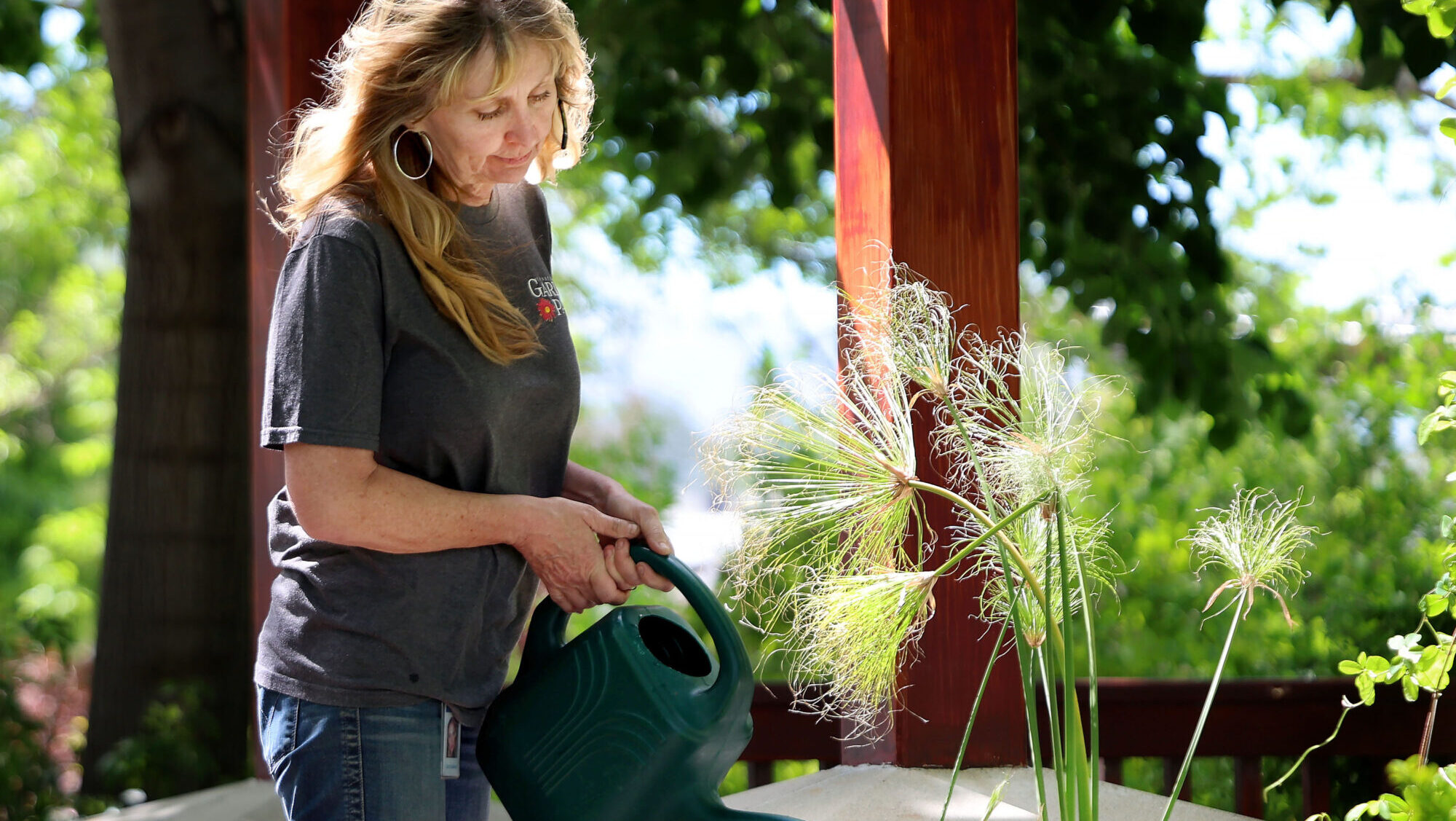 凤凰城计划进入干旱管理第二阶段，米德维尔征收附加费