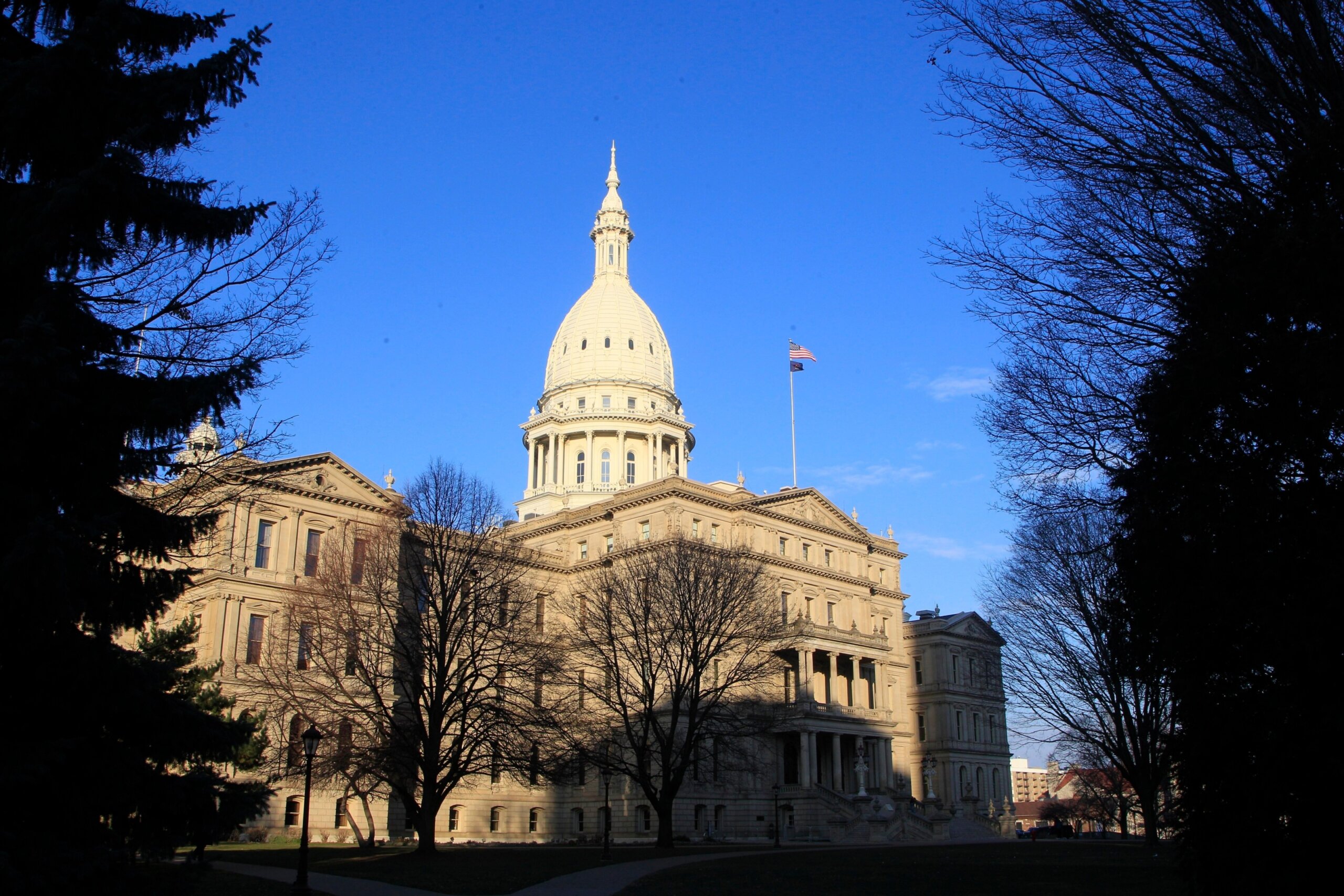 Michigan special election could shift Senate control
