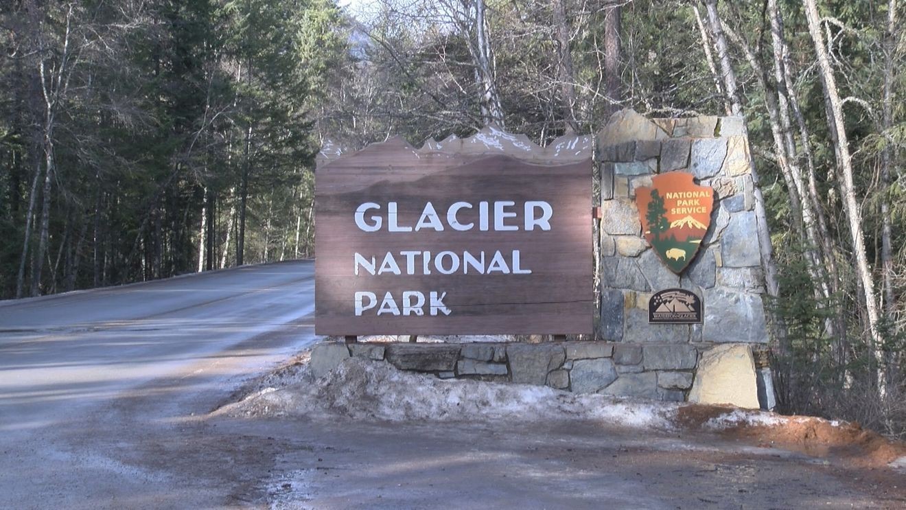 Glacier Park Hiker Found Dead After Bear Encounter