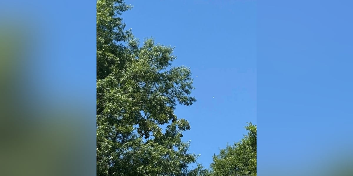 Two Air Force Pilots Eject After Alabama Mishap