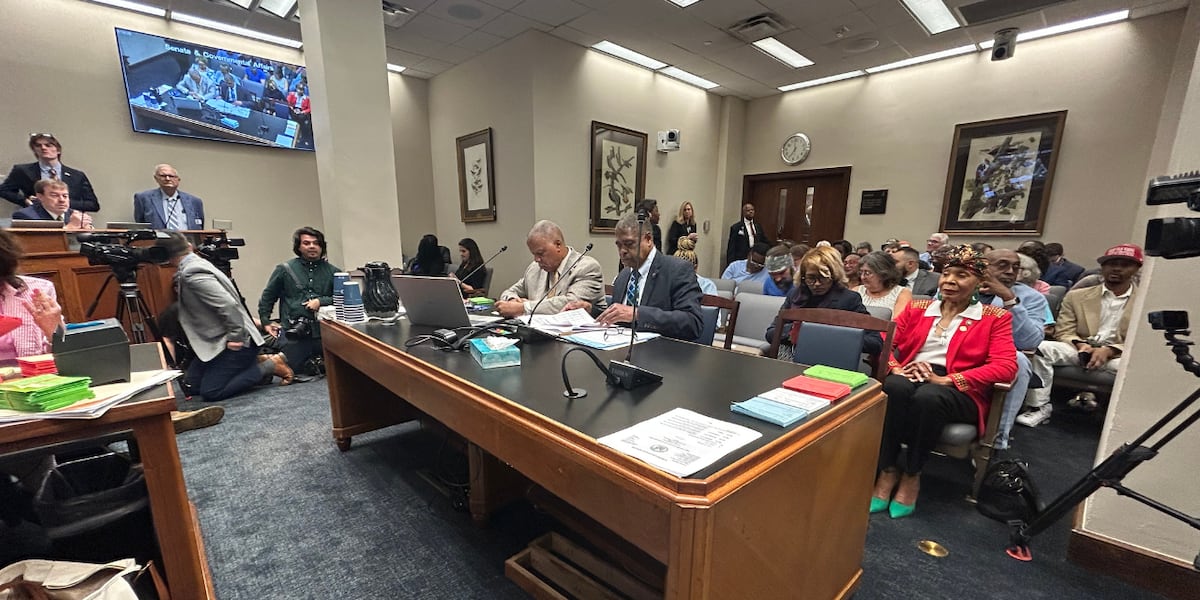 Senate committee votes on Louisiana congressional maps