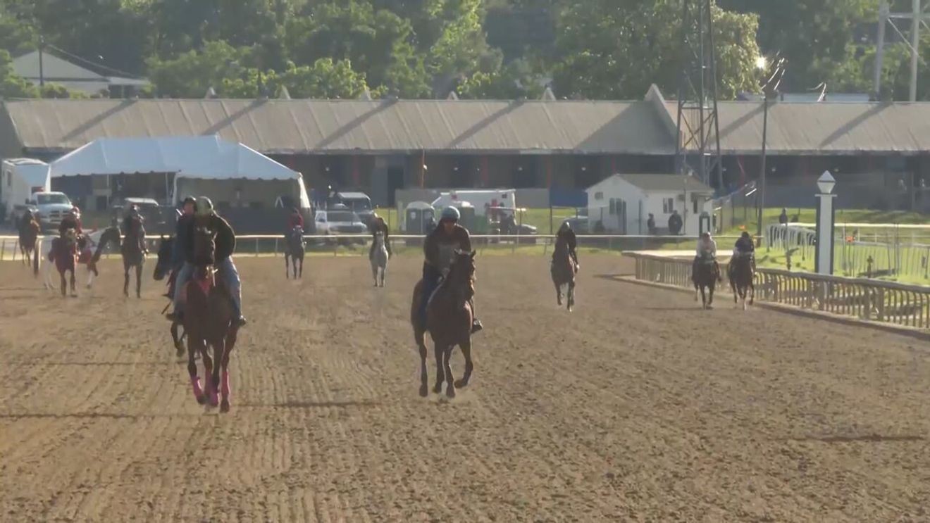 Napoleon Solo Wins Preakness at Laurel Park Saturday