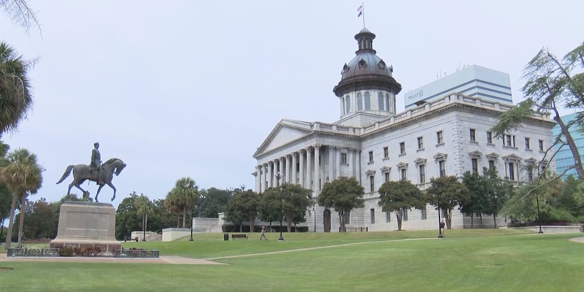 House Advances Contested South Carolina Congressional Map