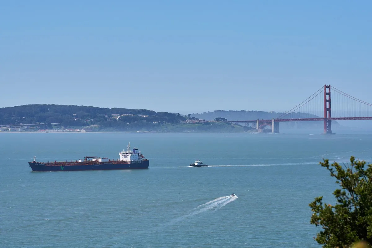 San Francisco Launches AI Network To Detect Whales