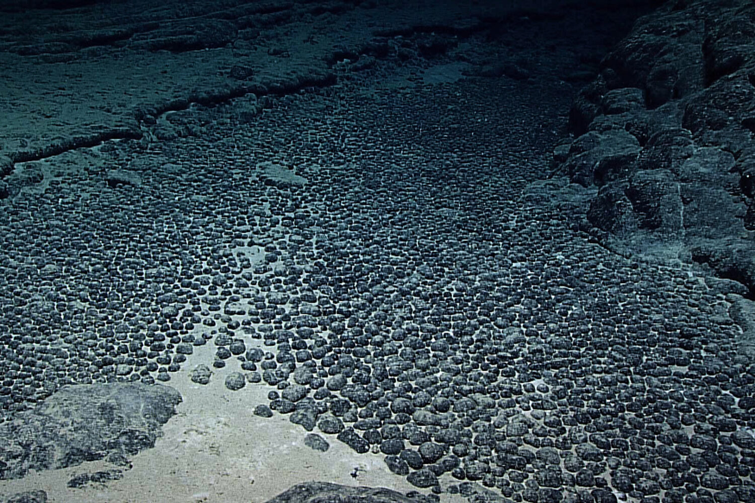 Minas submarinas en EE. UU. avanzan a pesar de las dudas ambientales