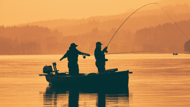 States Announce Free Fishing Weekends Across Multiple Regions