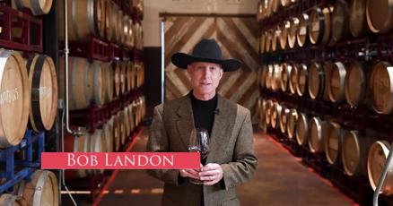 Texas expert Bob Landon publishes beginner wine guides