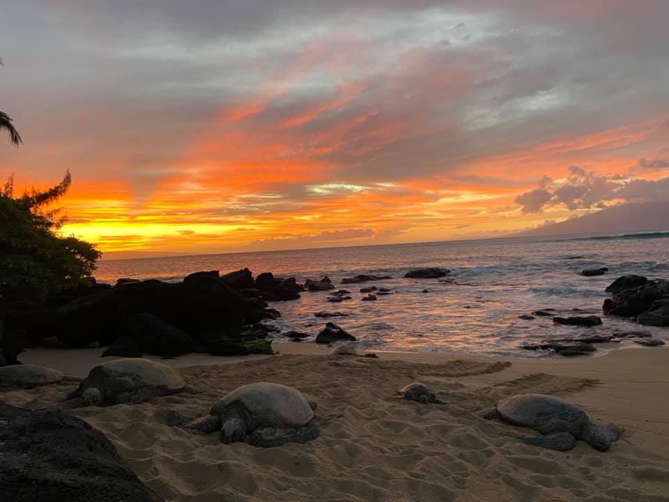 Maui Forecasts: Breezy Weather and Small Southwest Swells