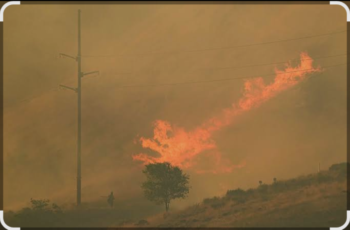 Utah Wildfires Force Mass Evacuations As Blaze Surpasses 118,000 Acres