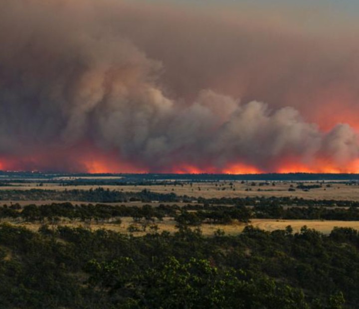 Grasshopper Fire Explodes Overnight in Oregon, Homes Under Threat
