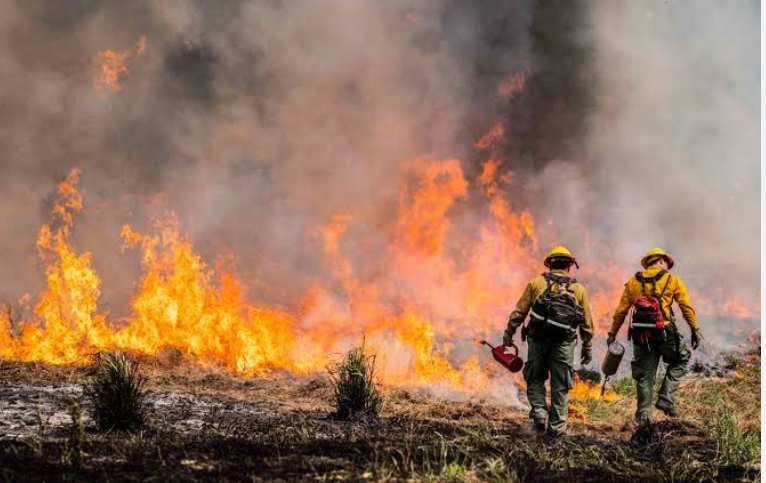 Las trampas de bomberos en EE.UU. alcanzan su máximo en 20 años en medio de incendios forestales récord
