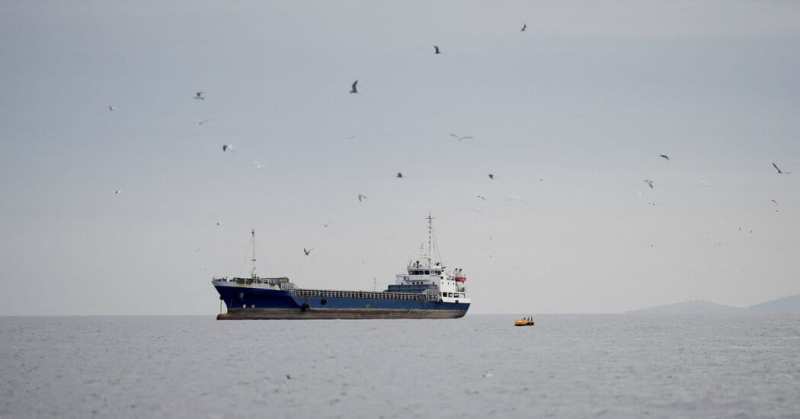Irán rechaza las afirmaciones de Trump sobre el bloqueo de Ormuz mientras la guerra paraliza el transporte marítimo mundial