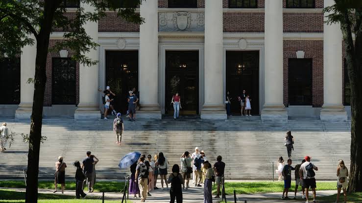 Título:Harvard revela una masiva participación financiera de 2.200 millones de dólares en SpaceX tras una OPV que batió récords