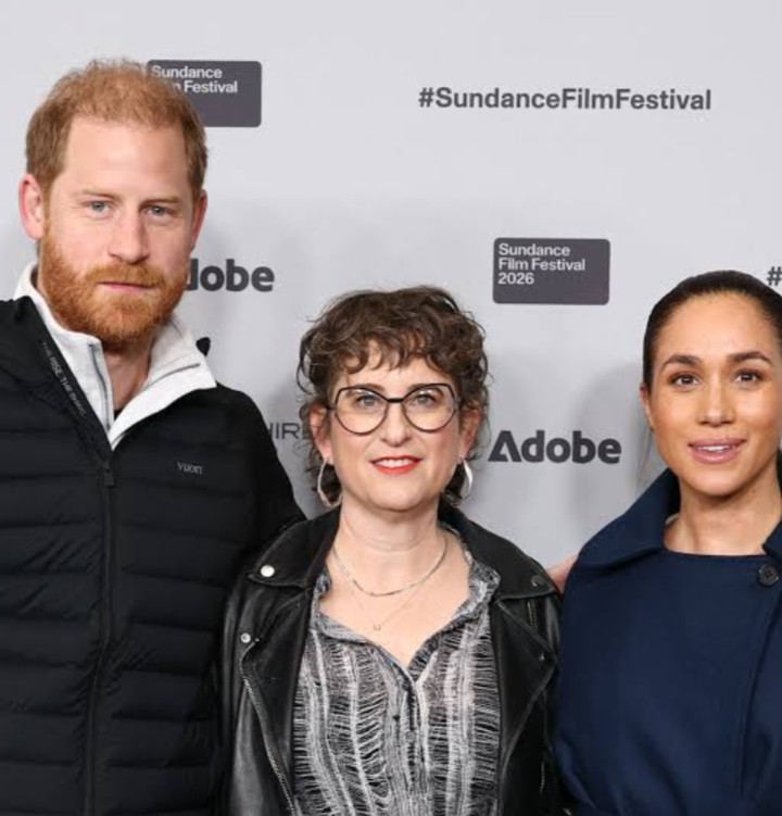 Videos virales de gatos superan al proyecto de Hollywood de Harry y Meghan