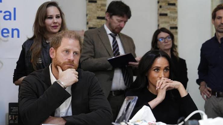 El proyecto hollywoodense del príncipe Harry y Meghan Markle eclipsado por videos de gatos de internet