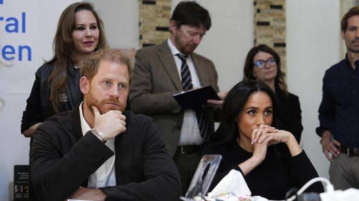 El proyecto hollywoodense del príncipe Harry y Meghan Markle eclipsado por videos de gatos de internet
