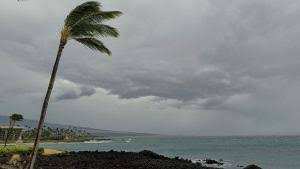 Statewide Shutdown Mandated Across Hawaii Following Hurricane Lala