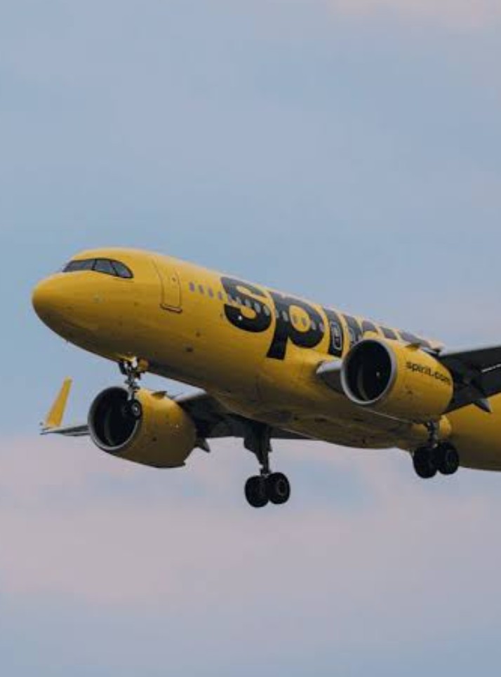 Google compra datos empresariales de la difunta Spirit Airlines en subasta de quiebra por $10M para entrenar IA