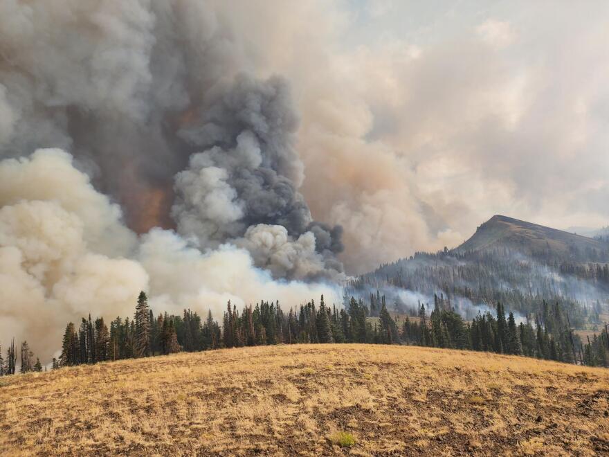L'Australie et la Nouvelle-Zélande envoient plus de 240 pompiers pour lutter contre les incendies de forêt aux États-Unis