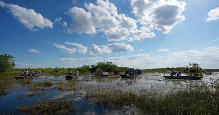 مشرعو البيت الأبيض يفشلون في تجاوز اعتراضات ترامب على مشروعين قانونيين