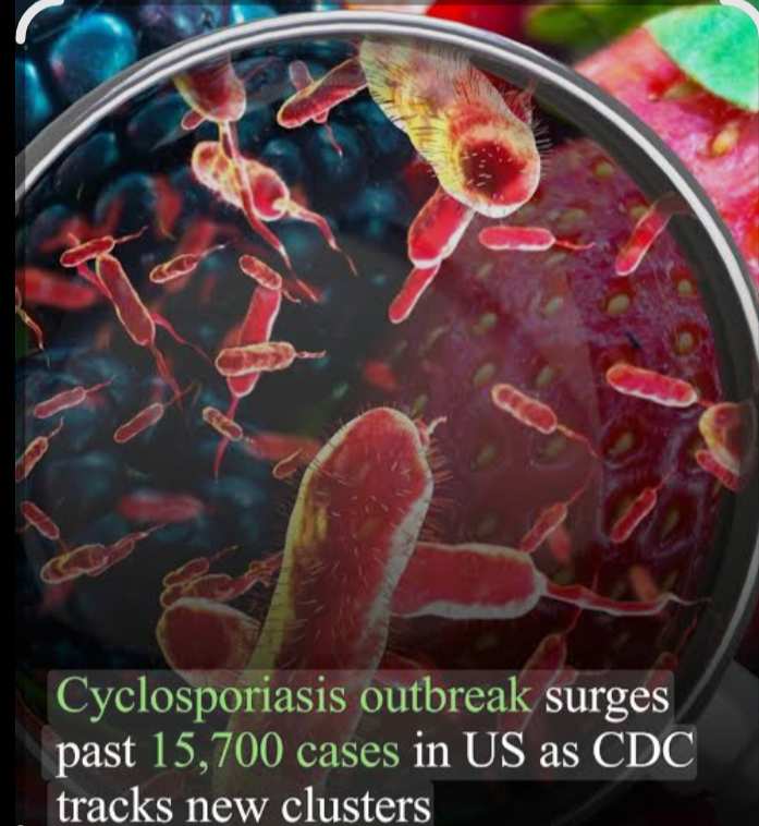 U.S. Cyclospora Outbreak Surpasses 15,700 Cases