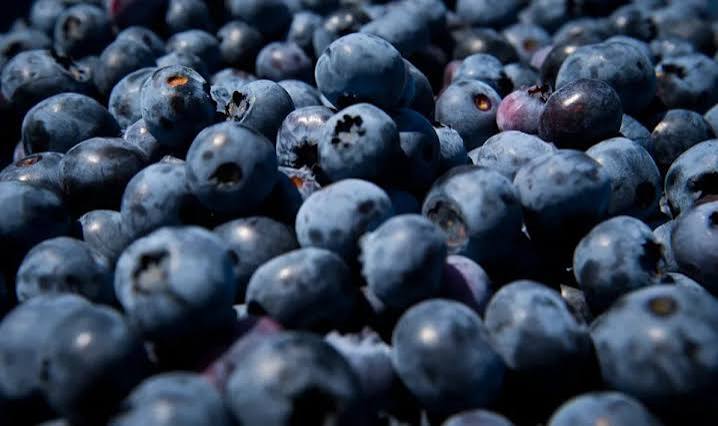 FDA Issues High-Risk Recall for Blueberries and Mixed Berries in 8 States