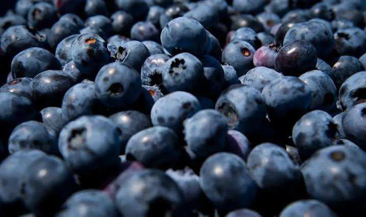 FDA Issues High-Risk Recall for Blueberries and Mixed Berries in 8 States
