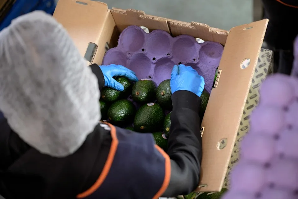 سحب منتجات غمسات Whole Foods بسبب السالمونيلا، إدارة الغذاء والدواء تصدر أعلى تحذير