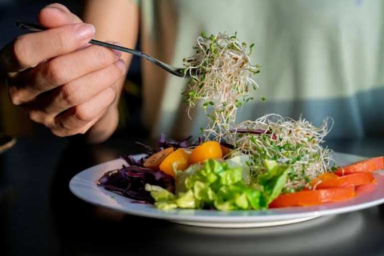 El brote de intoxicación alimentaria por brotes de alfalfa afecta a 15 estados de EE. UU.