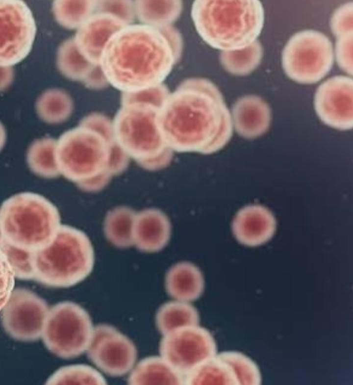 Rappel de germes : Épidémie double rare touche 15 États