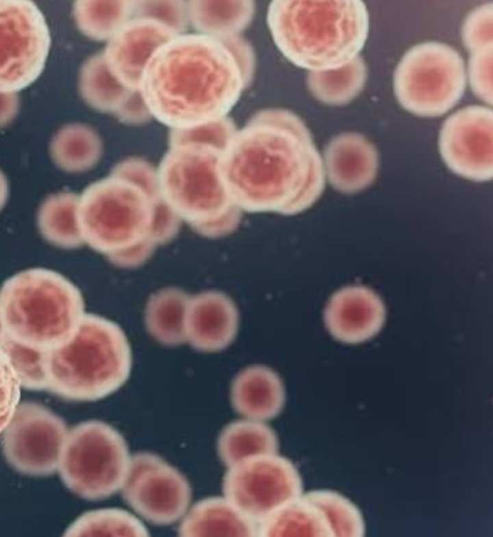 Retirada de Brotes: Raro Doble Brote Afecta a 15 Estados