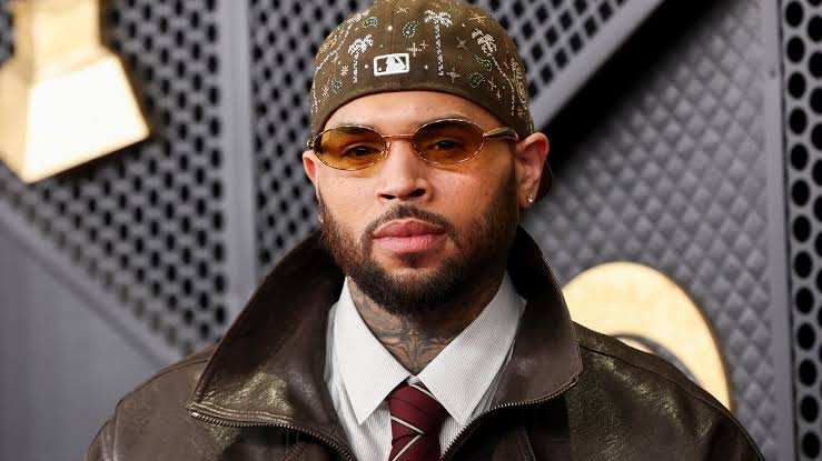 Chris Brown Ex-Housekeeper Granted Right to Seize Tour Earnings Over $13 Million Debt