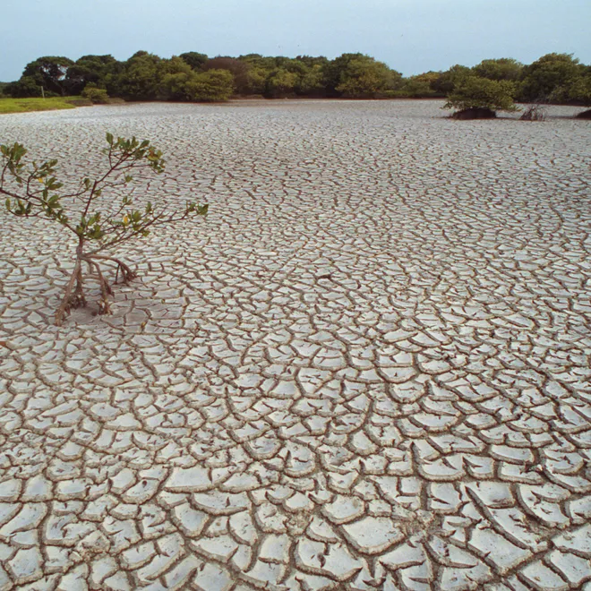 Major Climate Polluters Worsening Western US Water Crisis, Study Finds