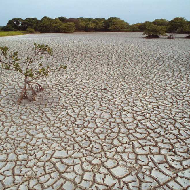 Les principaux pollueurs climatiques aggravent la crise de l'eau dans l'ouest des États-Unis, selon une étude