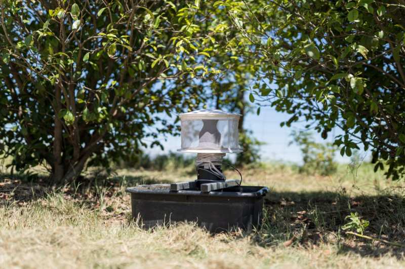 Arlington ordonne une pulvérisation terrestre d'urgence suite à des tests positifs de virus du Nil occidental