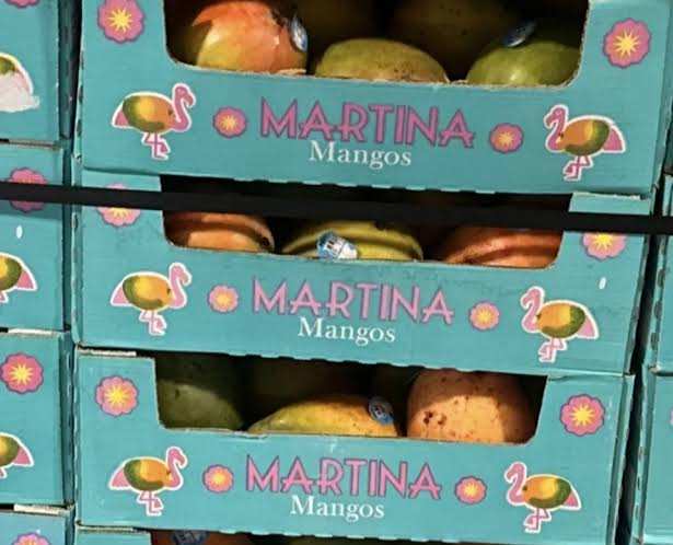FDA Recalls Mangoes and Rice Over Salmonella and Contamination Concerns