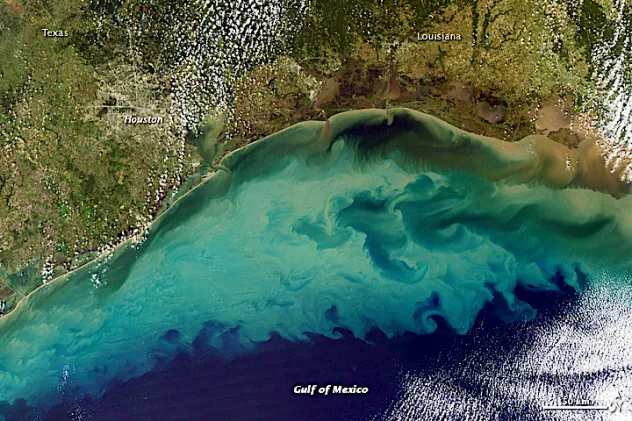 La Zona Muerta Hipóxica del Golfo de México se Reduce a un Mínimo Histórico